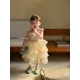 فستان الاميرات الفاخر ٢-٦ سنوات