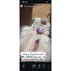 فستان الفراشة من سنة حتى ٧ سنوات